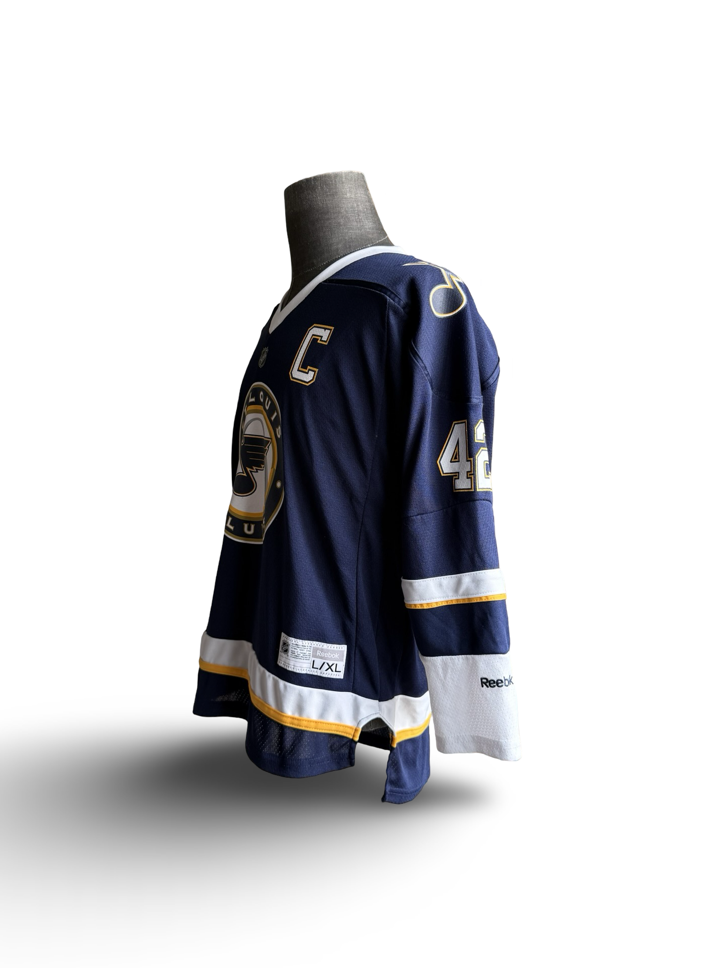 YOUTH NHL David Banks 42 St Louis Blues Reebok Alternative Arch Hockey Jersey Size Youth L/XL