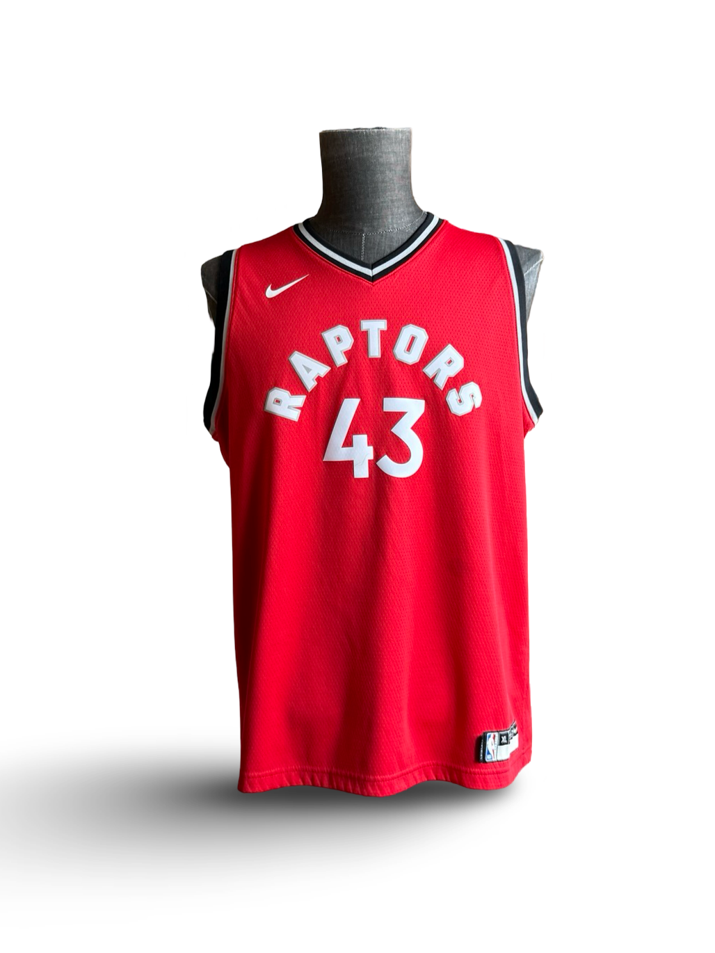 NBA Pascal Siakam 43 Toronto Raptors 2019 Nike Swingman Jersey Size Youth XL (18/20)