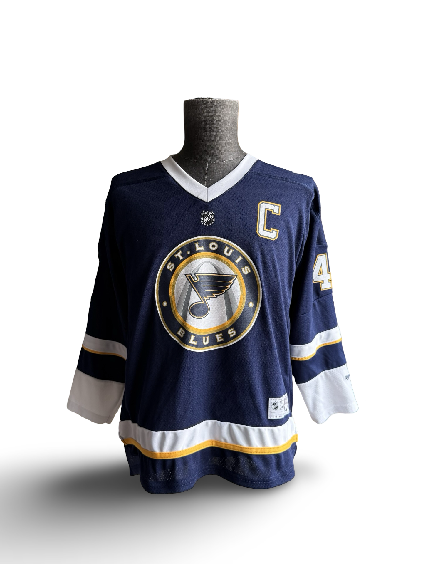YOUTH NHL David Banks 42 St Louis Blues Reebok Alternative Arch Hockey Jersey Size Youth L/XL