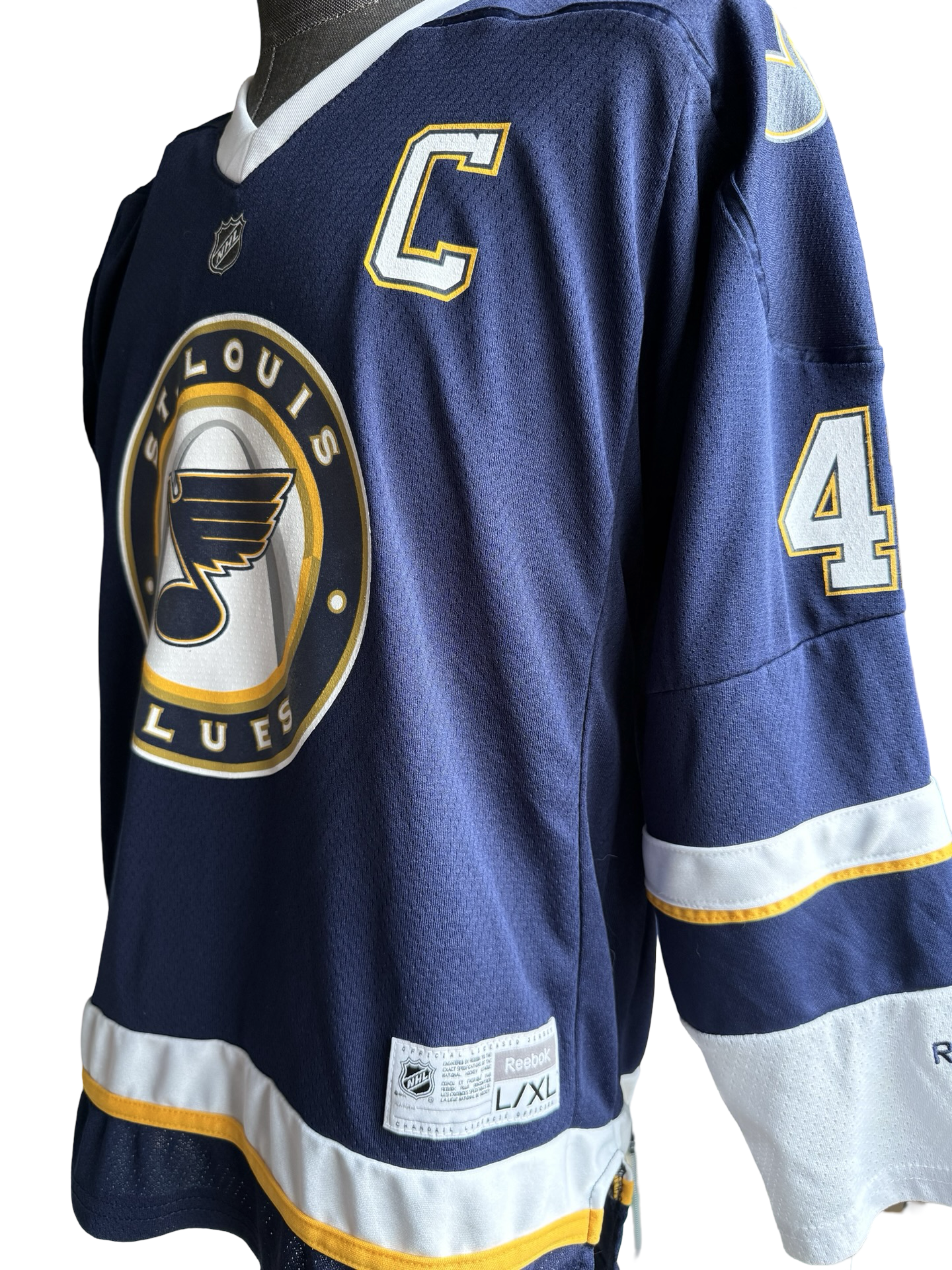YOUTH NHL David Banks 42 St Louis Blues Reebok Alternative Arch Hockey Jersey Size Youth L/XL